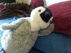 Devon the penguin in my dorm